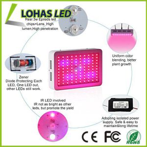 Full Spectrum LED Grow Light 300W for Plants and Flower